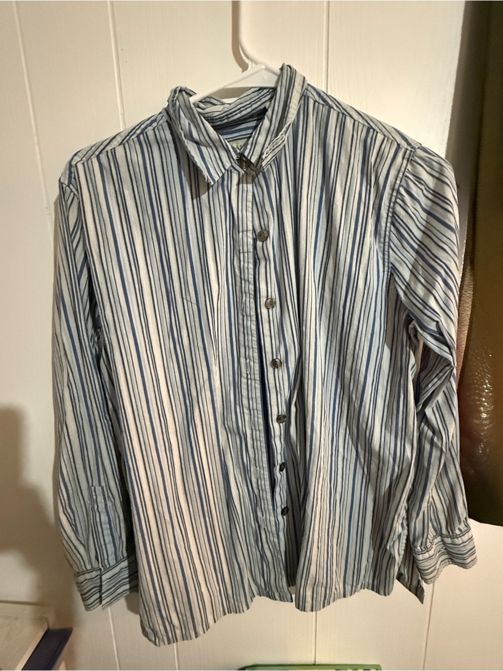 Classic Elements Blue and White Striped Button-Down Shirt